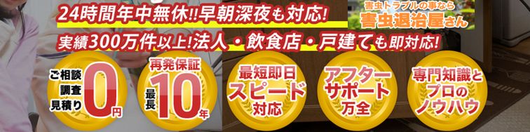 yQގzQgu𑦓yoςzTCg